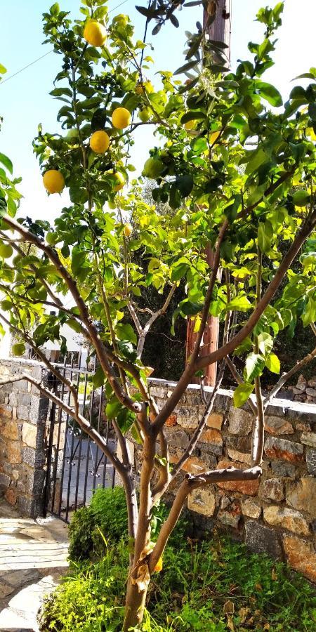 Traditional House In Elounda Esterno foto